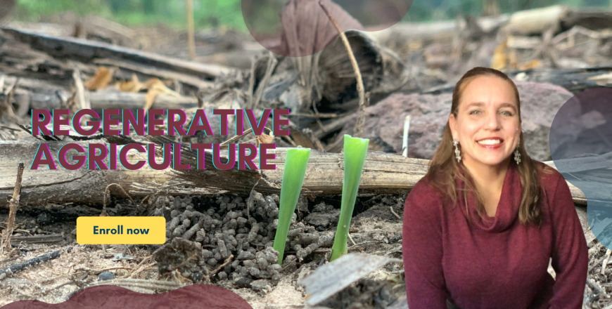 Blue and Yellow Bold Online Course Facebook Cover